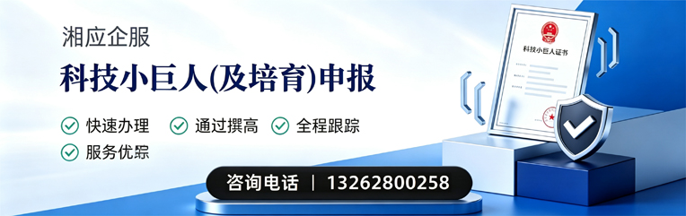 黔南科技小巨人及培育企业申报服务