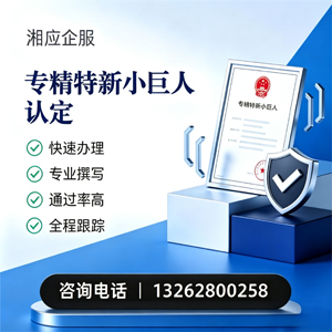 黔南专精特新小巨人申报服务