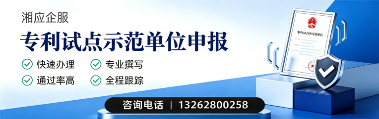 黔南专利试点示范单位申报服务
