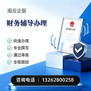 黔南财务辅导申请服务