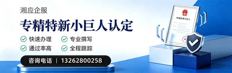 黔南专精特新小巨人申报服务